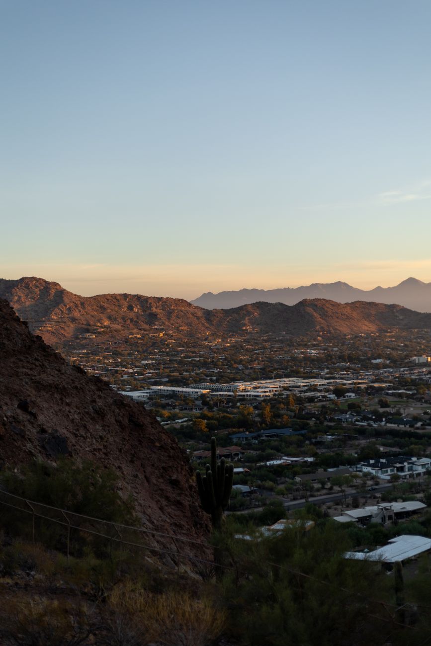 Silverleaf